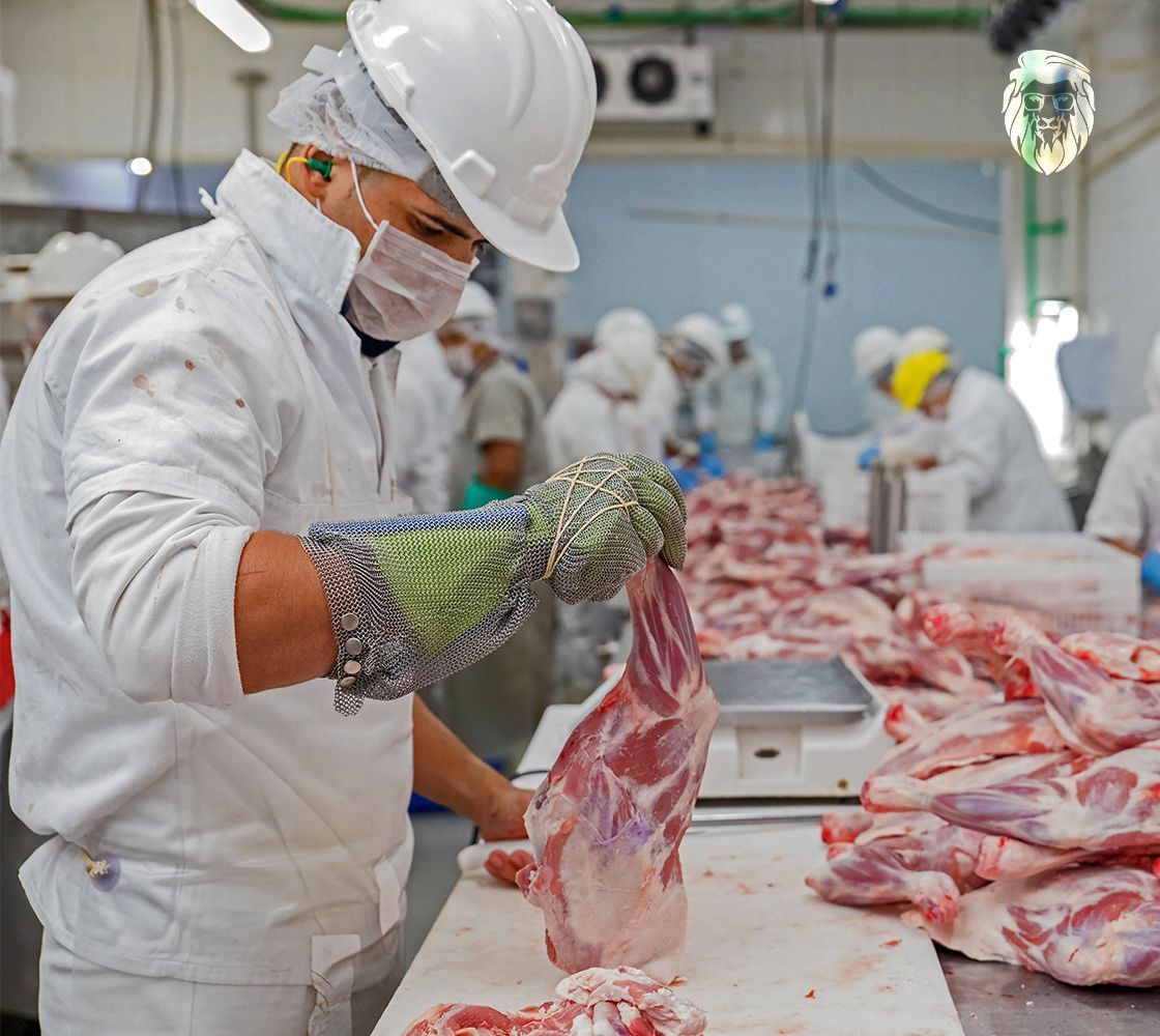 Meat Processing Plants